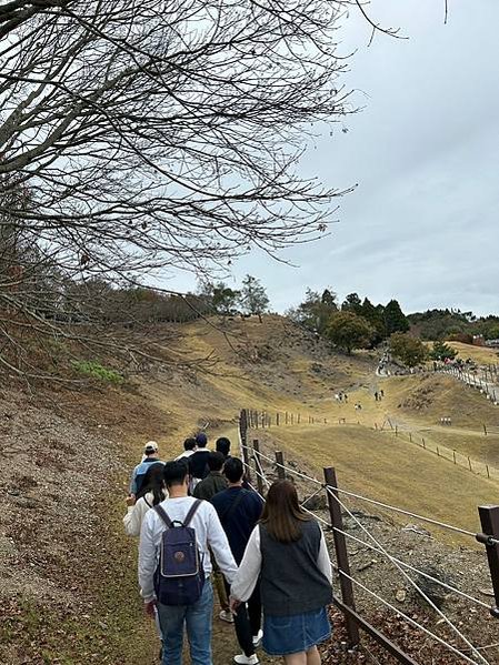 【親子景點】九個月寶寶遊清境農場｜清境農場門票 綿羊秀 帶嬰