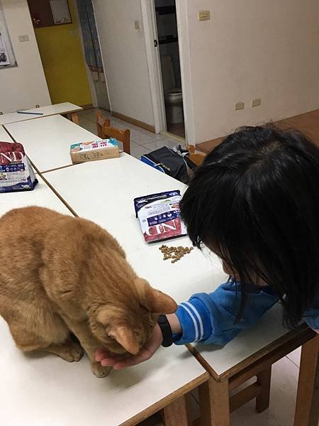 寵物飼料_201229_18