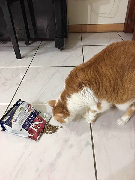 寵物飼料_201229_23