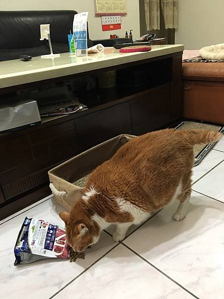 寵物飼料_201229_27