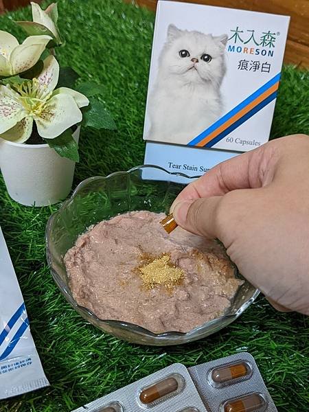 【貓奴日記】木入森新品犬貓痕淨白。貓眼週守護推薦原因