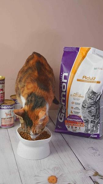 【2024寵物糧推薦】品果國際。低敏配方寵物飼料開箱 適口性
