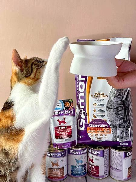 【2024寵物糧推薦】品果國際。低敏配方寵物飼料開箱 適口性