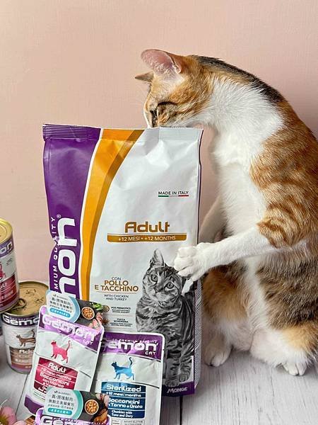 【2024寵物糧推薦】品果國際。低敏配方寵物飼料開箱 適口性