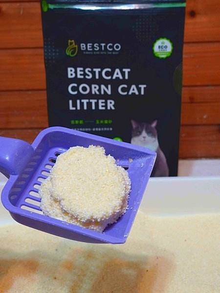 【貓砂開箱】Bestco五星級玉米貓砂。貓砂界的天花板 讓菲