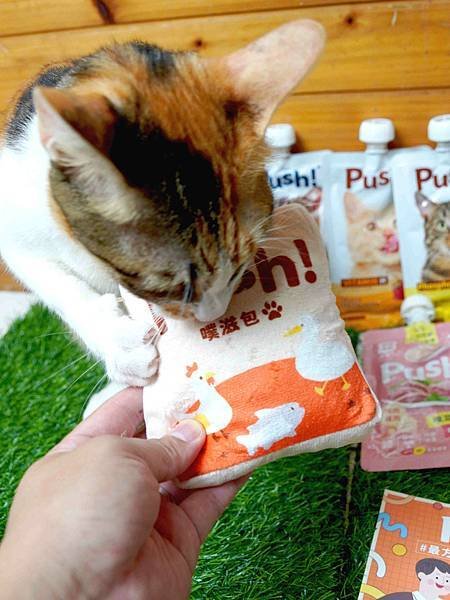 【旗艦級主食】Push! Pets 主食肉泥。吃到美食不管是