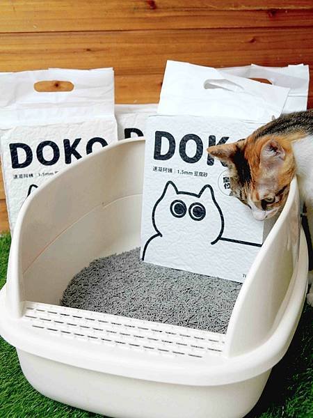 【貓砂推薦】DOKO速凝阿姨豆腐砂。貓咪用得好開心 低粉塵又