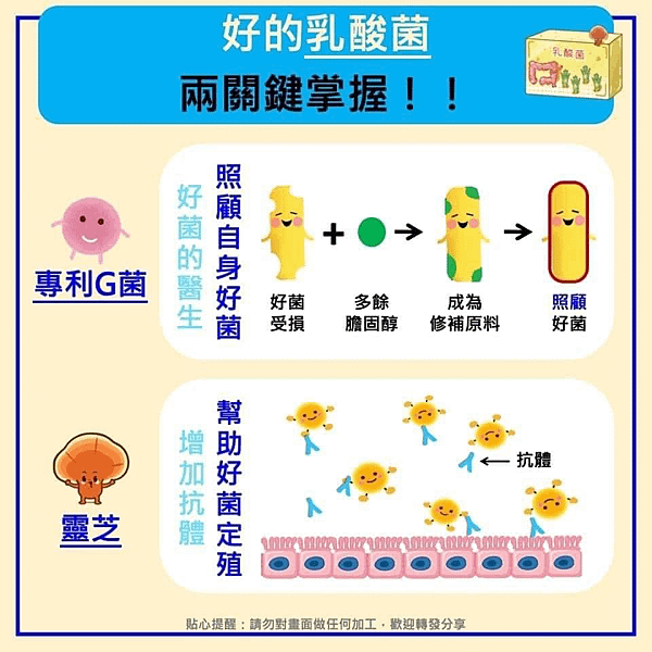 🌿 腸道健康的新關鍵：激活您的生命力！ ✨