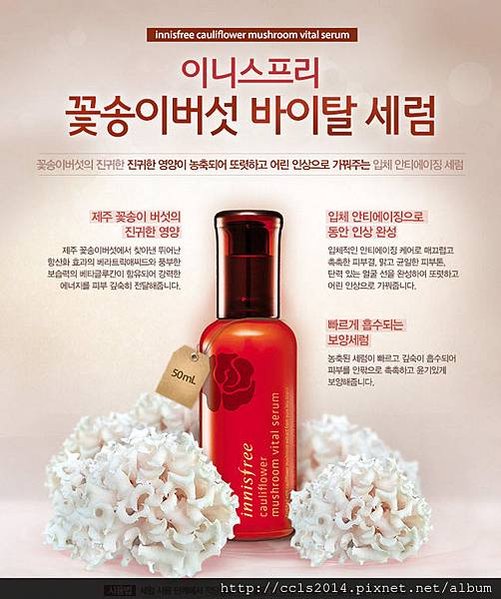 innisfree花蘑菇01