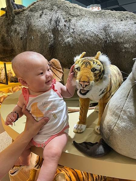 化石先生動物園店