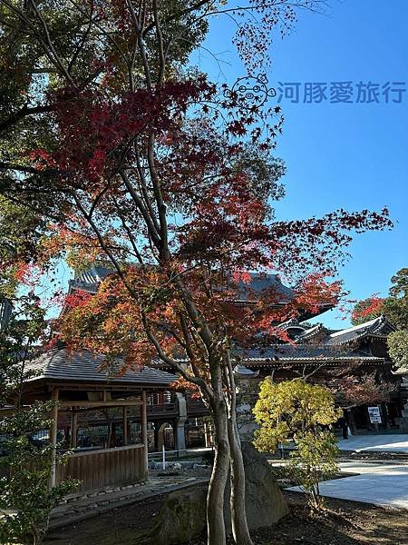 《日本中部自由行》愛知縣豐川市 豐川稻荷神社(妙厳寺) 豐川