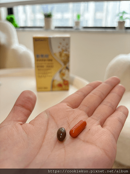 葉黃素真心推薦  杏國蓉易明複方葉黃素膠囊  新創雙劑型