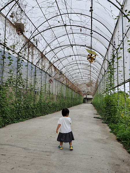 【嘉義中埔景點】中埔穀倉農創園區～由舊穀倉改建而成的免費親子