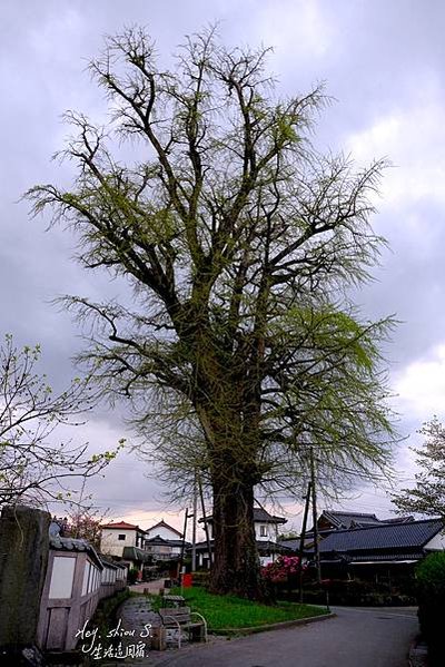 [阿蘇住宿]-宿房あそ (阿蘇博阿蘇旅館 )