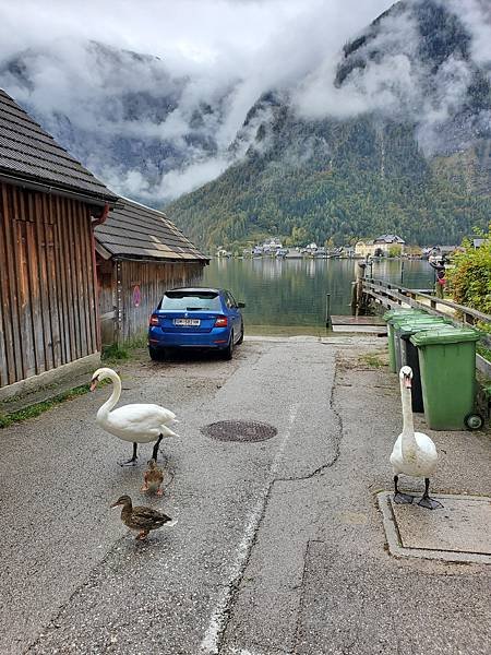 【旅行】20241002-1013 德奧瑞 家族小旅行之一