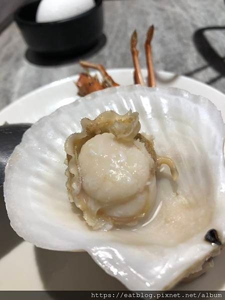 頂溪捷運美食｜永和必吃火鍋｜麒麟閣沙茶火鍋、很秋鍋物、旺角、