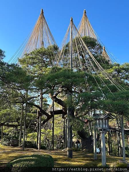 日本名古屋NAGOYA必去景點｜兼六園(日本三大名園)、金澤