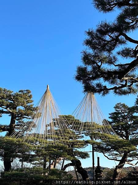 日本名古屋NAGOYA必去景點｜兼六園(日本三大名園)、金澤