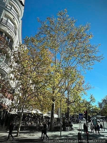 西班牙Spain｜馬德里MADRID 街道｜＠Cecilia