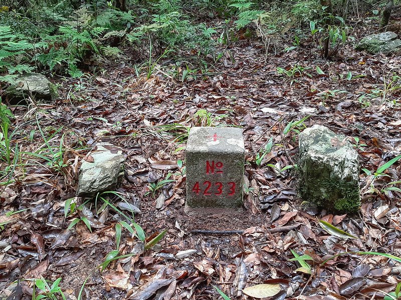 久武山三等三角點(# 4233 Elev. 1098 m) (2)