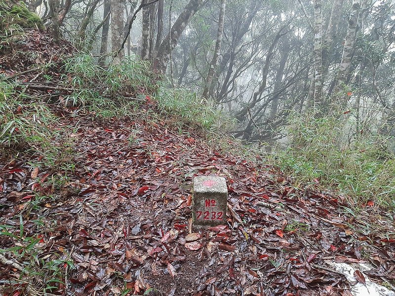 加奈鹿山三等三角點(# 7232 Elev. 1823 m)