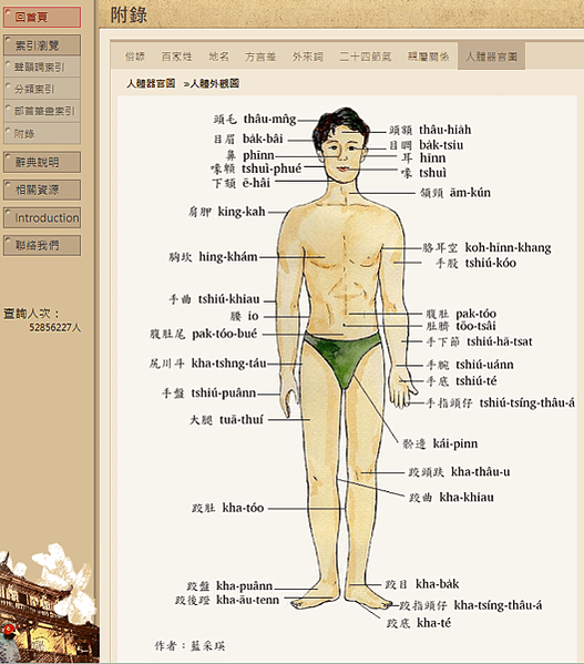 教育部閩南語辭典10種好用的查詢方法