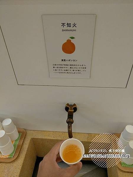IMAG4460_结果