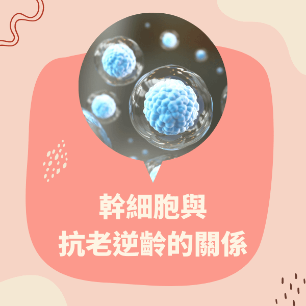 幹細胞與抗老逆齡 (1)