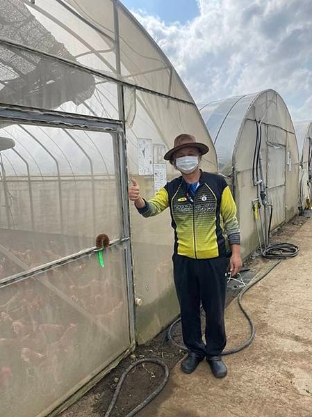 只種蔬菜的專業有機農場