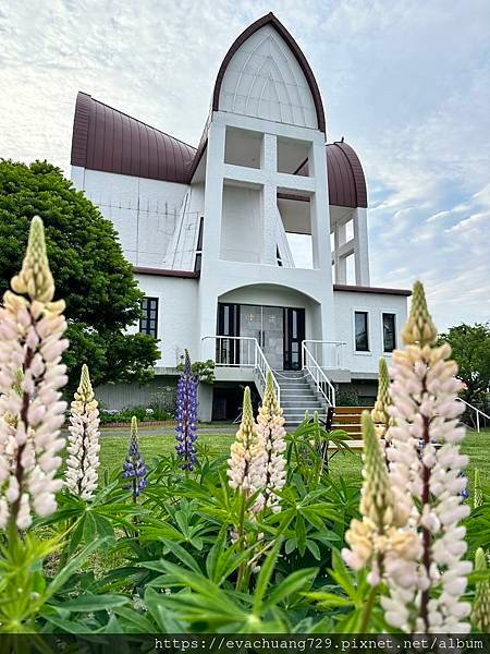【遊記】函館第一天(下)，八幡坂，舊函館公民會所，遇到好吃特