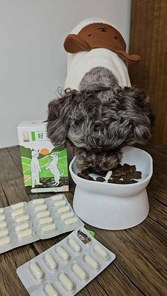 毛孩關節保健品開箱 我們家狗狗的最愛和樂茸茸Pawsitiv