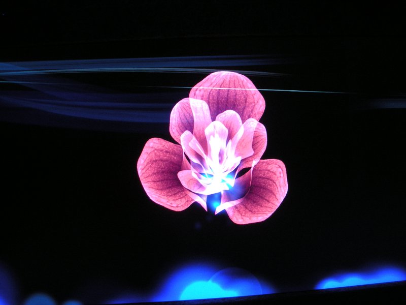 DSCN6920.JPG