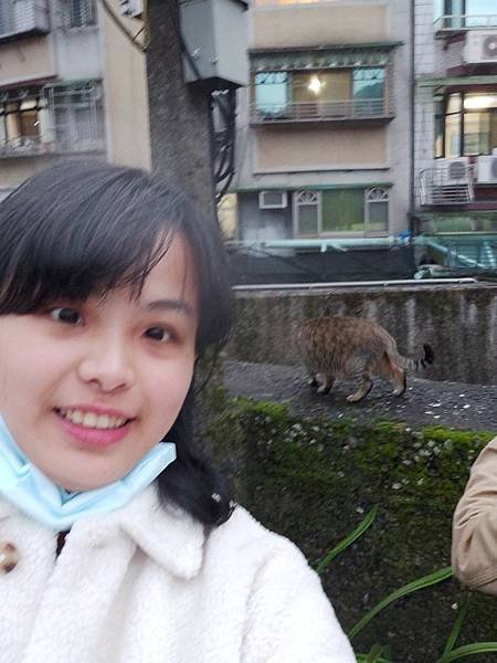 LINE_ALBUM_碧潭_230125_8