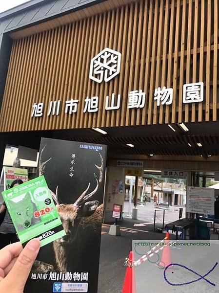 《趴趴走‧日本-北海道》Cloverアイスエ房＋旭川動物園＋