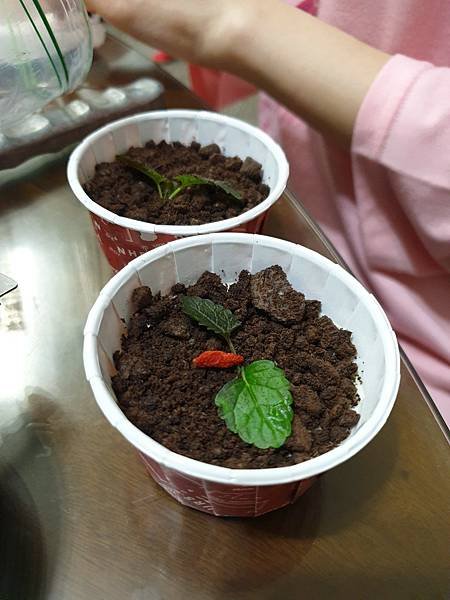 &lt;Do yourself-手工奶酪&gt;疫情期間一起來享受DIY