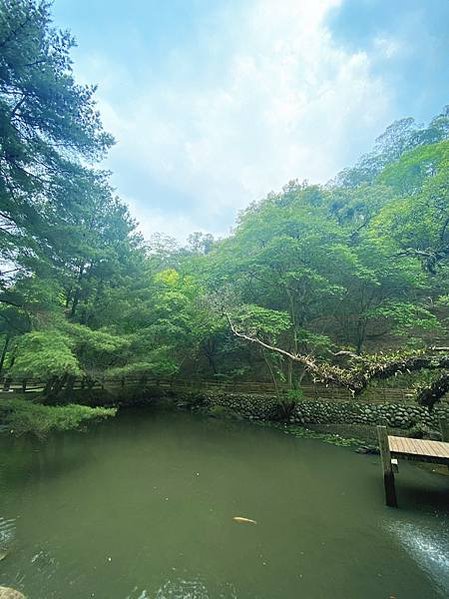 &lt;遊記-苗栗三義&gt;山那邊，綠葉方舟+雅聞香草植物工廠 ARW