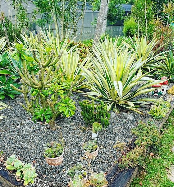 &lt;遊記-苗栗三義&gt;山那邊，綠葉方舟+雅聞香草植物工廠 ARW