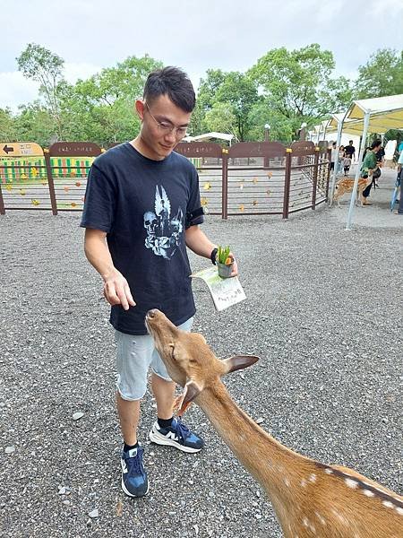 &lt;遊記-宜蘭冬山&gt;2024 斑比山丘~零距離的接觸，把你的美