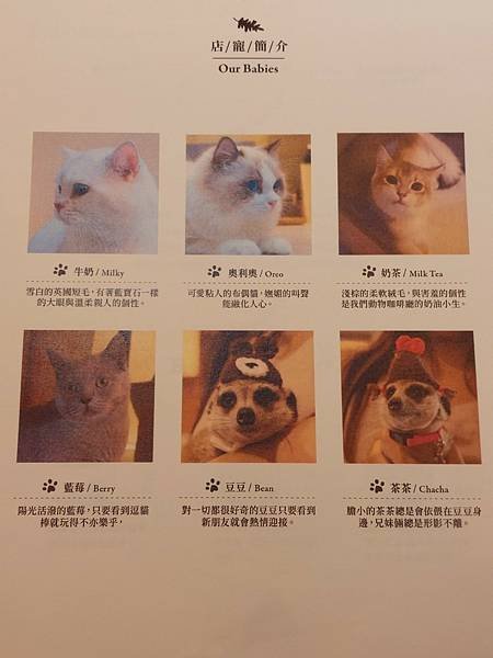 LINE_ALBUM_部落格_250215_29