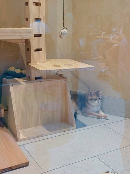 LINE_ALBUM_部落格_250215_12