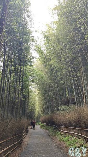 batch_IMG_20220814_094934