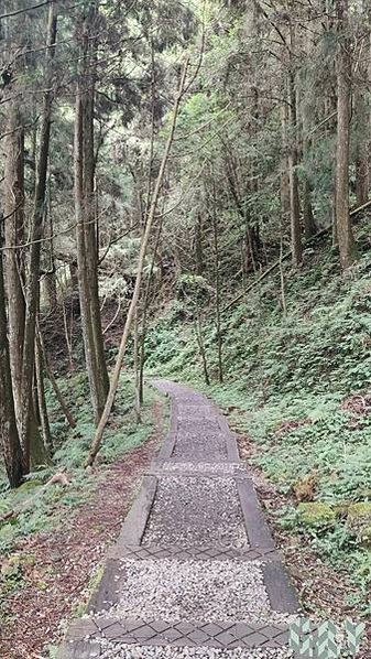 batch_IMG_20220814_151838