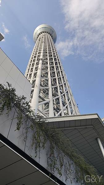 公主11(下船&amp;東京)