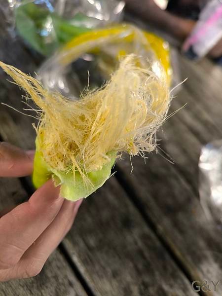泰國曼谷華欣自由行9天7夜！睽違近半年曼谷二訪，變化快速果然