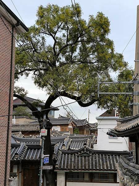 韓國首爾自由行5天5夜‧原來韓國也這麼好玩－(3)再訪京東市