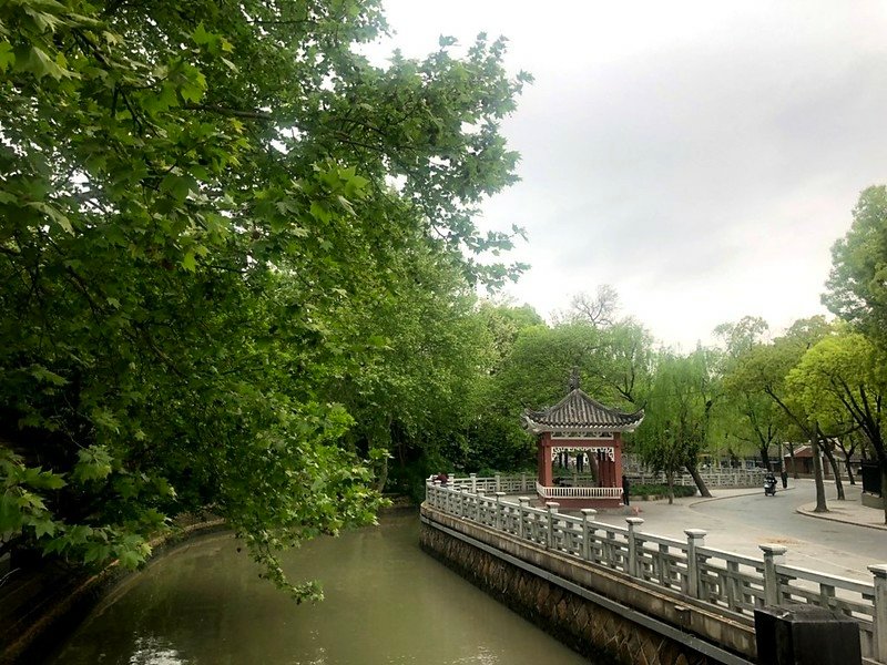 20190420玉書上海跑步 (3)