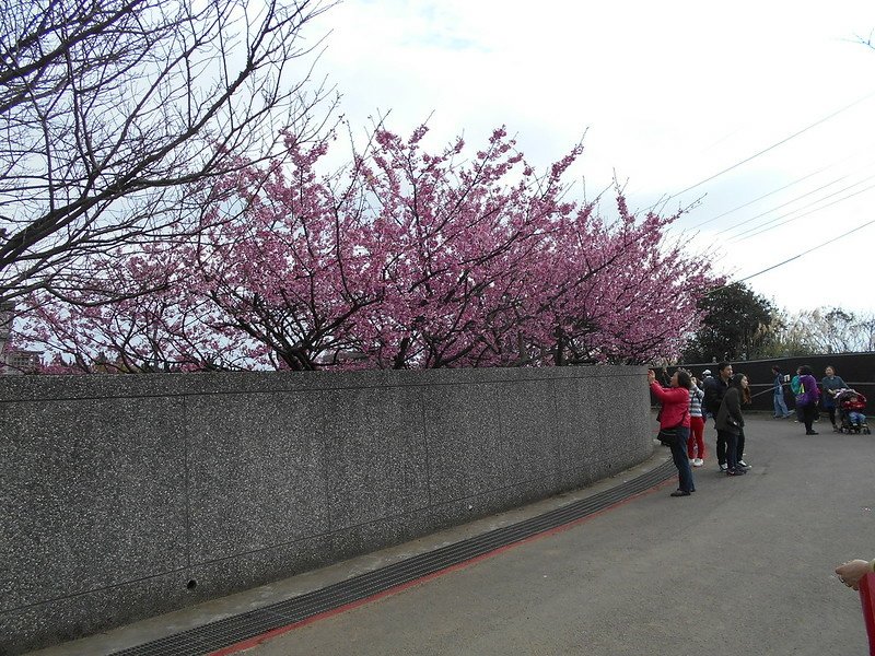 DSCN2009