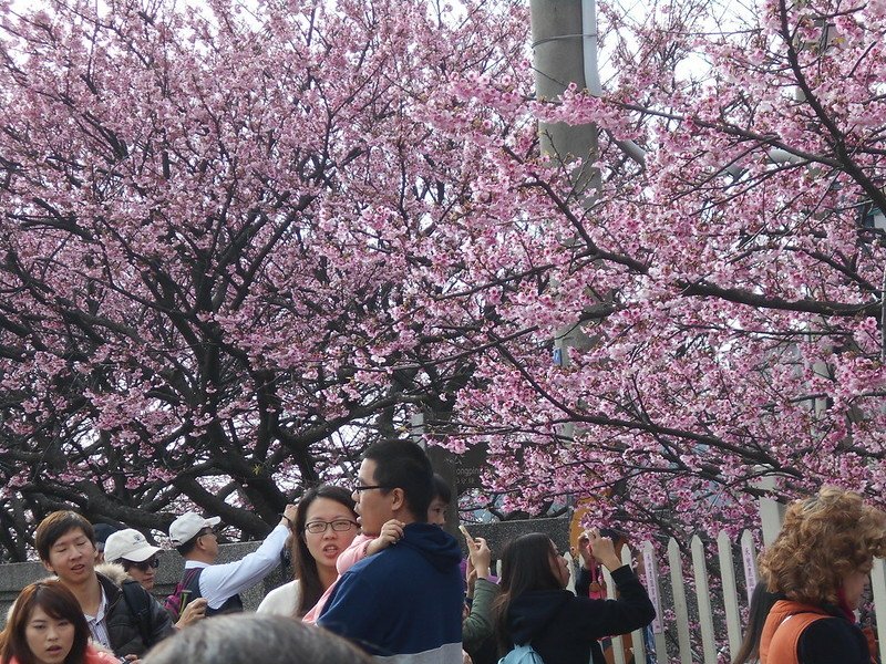DSCN2007