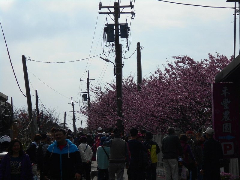DSCN2004