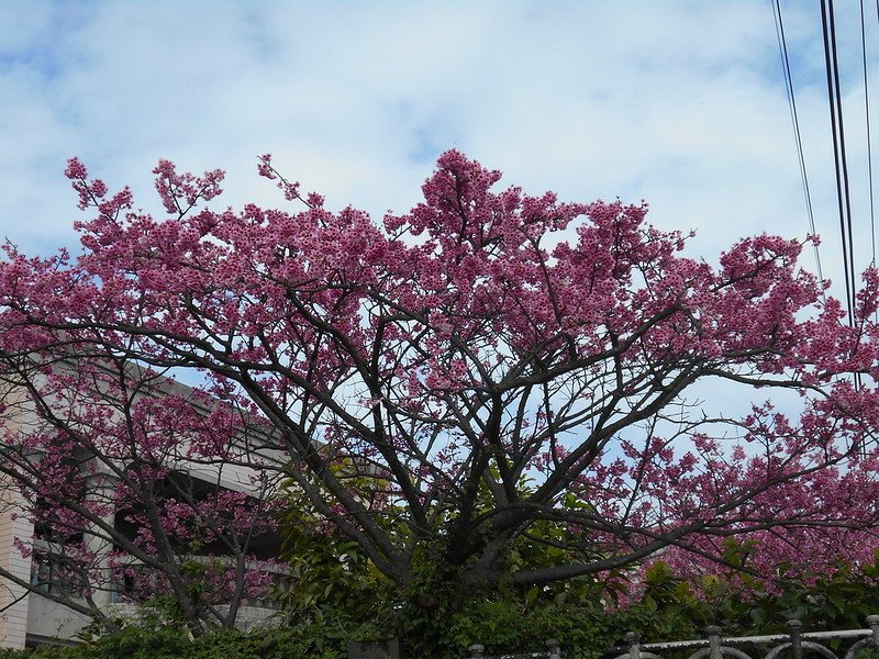 DSCN2002